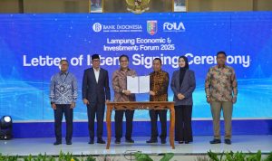 WhatsApp Image 2025-11-05 at 19.03.28