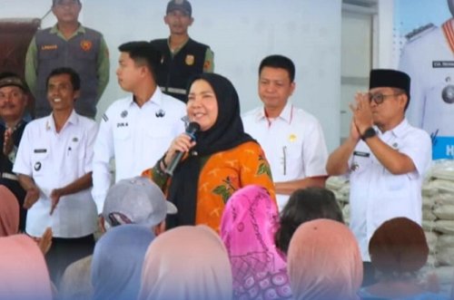 Wali-Kota-Bandar-Lampung-Salurkan-Bantuan-Beras-e1760792617596